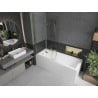 Mexen Castor 2-panel Bath Screen 100 x 150 cm, Transparent, Gold - 892-100-002-50-00
