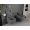 Mexen Madox Rimless WC Bowl with Soft-Close Slim Seat, Duroplast, Dark Gray Matte - 30154061