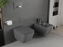 Mexen Madox Rimless WC Bowl with Soft-Close Slim Seat, Duroplast, Dark Gray Matte - 30154061