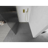 Mexen Kioto Walk-in Shower Wall 80 x 200 cm, Striped 8 mm, Gold - 800-080-101-50-09
