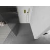 Mexen Kioto Walk-in shower screen 100 x 200 cm, stripes 8 mm, gold - 800-100-101-50-09