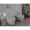 Mexen Rico WC bowl Rimless with soft-close slim seat, duroplast, light gray matte - 30724061