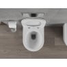 Mexen Rico rimless toilet bowl with a slow-closing slim seat, duroplast, matte white - 30724001