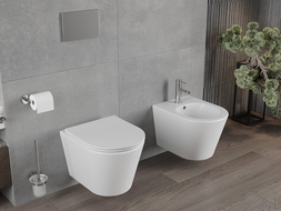 Mexen Rico Rimless toilet bowl with a slim soft close toilet seat, Thermosetting polymer, White matt - 30724001