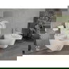 Mexen Rico Rimless toilet bowl with a hard soft close toilet seat, White - 30478000
