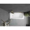 Mexen Vega 180 x 80 cm rectangular bathtub with panels and a 1-wing screen 80 cm, transparent, gold - 550118080X9408115000