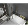 Mexen Vega 180 x 80 cm rectangular bathtub with panels and a 1-wing screen 100 cm, transparent, gold - 550118080X9410115000