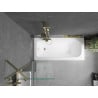 Mexen Vega rectangular bathtub 160 x 70 cm with enclosure and 1-wing screen 60 cm, transparent, gold - 550116070X9506000050