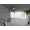 Mexen Vega rectangular bathtub 160 x 70 cm with casing and 1-wing screen 80 cm, transparent, gold - 550116070X9508000050