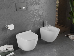 Mexen Lena Rimless WC bowl with soft-close slim seat, duroplast, white gloss - 30224000