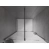 Mexen Velar sliding shower doors 120 cm, transparent, brushed gun gray - 871-120-000-01-66