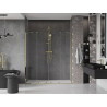 Mexen Velar Duo Sliding Shower Doors 170 cm, Transparent, Gold - 871-170-000-02-50
