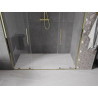 Mexen Velar Duo Sliding Shower Doors 170 cm, Transparent, Gold - 871-170-000-02-50