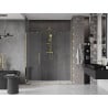 Mexen Velar Duo sliding shower door 200 cm, transparent, gold - 871-200-000-02-50