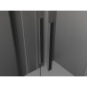 Mexen Velar Duo Sliding Shower Doors 180 cm, Transparent, Brushed Gun Gray - 871-180-000-02-66