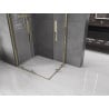 Mexen Velar Duo Sliding Shower Enclosure 100 x 90 cm, Transparent, Gold - 871-100-090-02-50