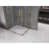 Mexen Velar Duo Sliding Shower Enclosure 100 x 90 cm, Transparent, Gold - 871-100-090-02-50