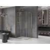 Mexen Velar Duo Sliding Shower Enclosure 100 x 90 cm, Transparent, Gold - 871-100-090-02-50