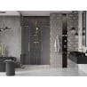 Mexen Velar Duo Sliding Shower Doors 160 cm, Transparent, Gold - 871-160-000-02-50