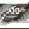 Mexen Neptun bathroom radiator 1600 x 500 mm, 523 W, chrome - W101-1600-500-00-01