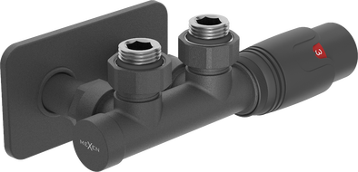 Mexen G00 thermostatic set angled with cover S, Duplex, DN50, anthracite - W907-900-910-66