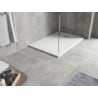 Mexen Hugo rectangular shower tray SMC 100 x 90 cm, white, gold cover - 42109010-G