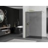 Mexen Kioto Walk-in Shower Wall 100 x 200 cm, Graphite 8 mm, Brushed Gold - 800-100-101-55-40