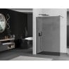 Mexen Kioto Walk-in Shower Wall 110 x 200 cm, Graphite 8 mm, Gun Gray Brushed - 800-110-101-66-40