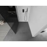 Mexen Kioto Walk-in Shower Wall 110 x 200 cm, Graphite 8 mm, Gun Gray Brushed - 800-110-101-66-40