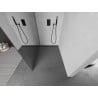 Mexen Kioto shower wall Walk-in 100 x 200 cm, mirror 8 mm, gun gray brushed - 800-100-101-66-50
