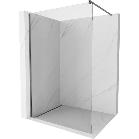Mexen Kioto Walk-in Shower Panel 60 x 200 cm, Transparent 8 mm, Gun Metal - 800-060-101-95-00