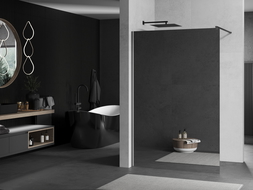 Mexen Kioto Walk-in Shower Panel 100 x 200 cm, Mirror 8 mm, Gun Metal - 800-100-101-95-50