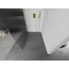 Mexen Kioto Walk-in Shower Panel 80 x 200 cm, Clear Glass 8 mm, Brushed Gold - 800-080-101-55-09