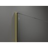 Mexen Kioto Walk-in Shower Screen 150 x 200 cm, Transparent 8 mm, Gold - 800-150-101-50-00