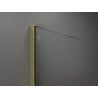 Mexen Kioto Walk-in Shower Wall 100 x 200 cm, Black Frame 8 mm, Gold - 800-100-101-50-70