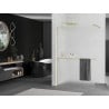 Mexen Kioto+ shower wall with Walk-in shelf 100 x 200 cm, frosted, brushed gold - 800-100-121-55-30