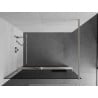 Mexen Kioto+ shower wall with shelf Walk-in 110 x 200 cm, graphite, brushed nickel - 800-110-121-97-40