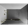 Mexen Kioto+ L Walk-in Shower Wall with Shelf 80 x 200 cm, Transparent, Gold - 800-080-123-50-00