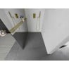 Mexen Kioto+ L shower wall with a Walk-in shelf 100 x 200 cm, mirror, gold - 800-100-123-50-50