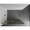 Mexen Kioto+ L Shower Wall with Walk-in Shelf 120 x 200 cm, Mirror, Gold - 800-120-123-50-50