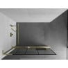 Mexen Kioto+ L Shower Wall with Walk-in Shelf 100 x 200 cm, Black Pattern, Brushed Gold - 800-100-123-55-78