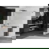 Mexen Kioto+ Shower Wall with Walk-in Shelf 80 x 200 cm, clear, gun metal - 800-080-121-95-09