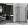 Mexen Kioto Walk-in Shower Wall 120 x 80 cm, Black Frame, Brushed Gold - 800-120-202-55-70-080