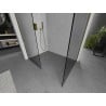 Mexen Kioto Walk-in Shower Wall 75 x 70 cm, transparent, gold - 800-075-202-50-00-070