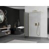 Mexen Kioto Walk-in Shower Wall 53.15 x 39.37 in, Transparent, Gold - 800-135-212-50-00-100