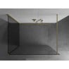 Mexen Kioto Shower Wall Walk-in 120 x 120 cm, Transparent, Brushed Gold - 800-120-212-55-00-120