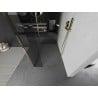 Mexen Kioto Walk-in Shower Wall 120 x 105 x 40 cm, transparent, gold - 800-120-105-221-50-00-040