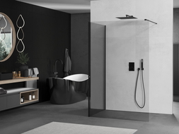 Mexen Kioto Walk-in Shower Panel 120 x 100 cm, Transparent, Black - 800-120-212-70-00-100