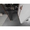 Mexen Kioto Walk-in Shower Wall 120 x 120 x 40 cm, Transparent, Rose Gold - 800-120-120-221-60-00-040