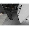 Mexen Kioto Walk-in Shower Wall 120 x 80 x 40 cm, Black Frame, Black - 800-120-080-221-70-70-040